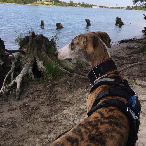 PHOTO-2021-06-03-19-45-43 1